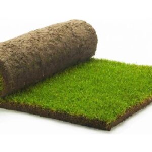 Купить рулонный газон