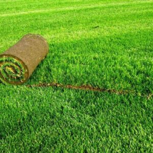 купить стандартный рулонный газон