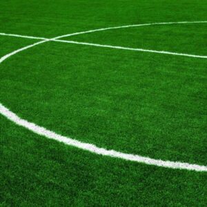 купить спортивный рулонный газон