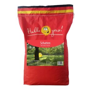 Купить теневой газон